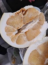Николаевский