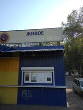 Живое Жигулевское