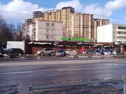 У Палыча