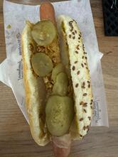 Stardogs