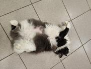 Кофетерий