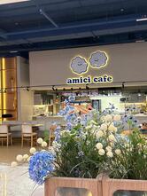 Amici