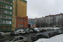 Пластилиновая ворона