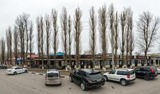 Черничный Раф