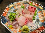 佐助どん