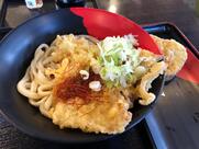 Iyo Udon