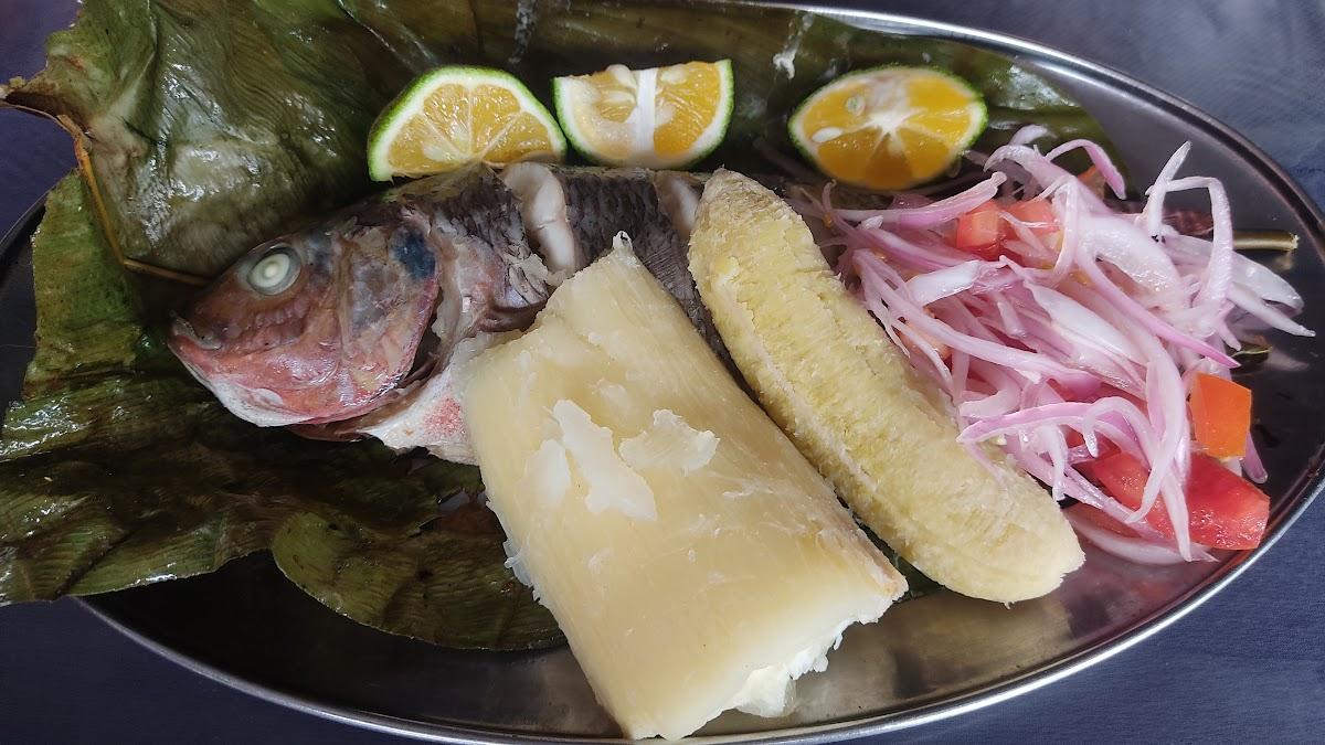 Paradero Restaurante Puyo El Mono Álava