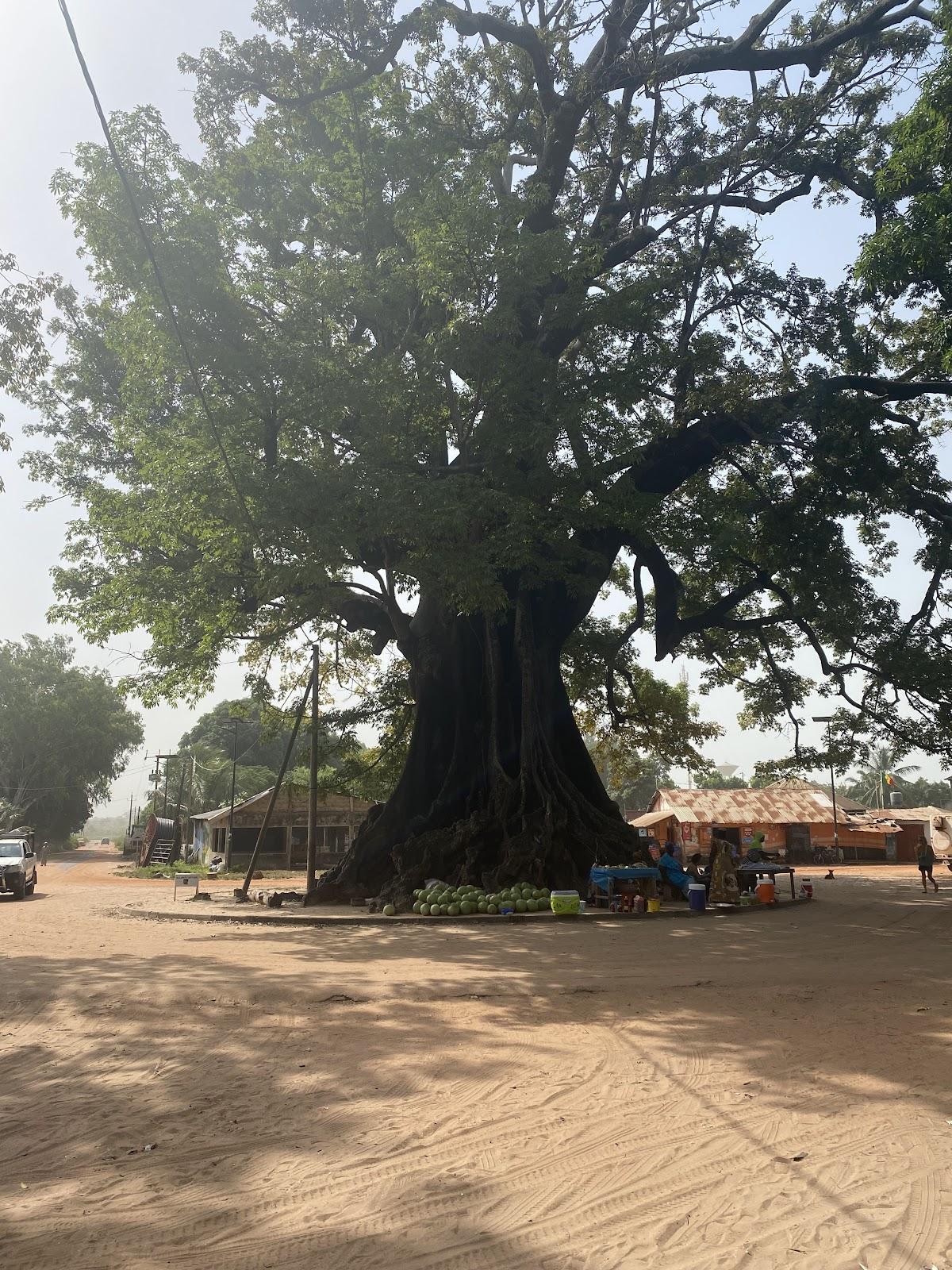 Fast Food BAOBAB Chez Eldji one