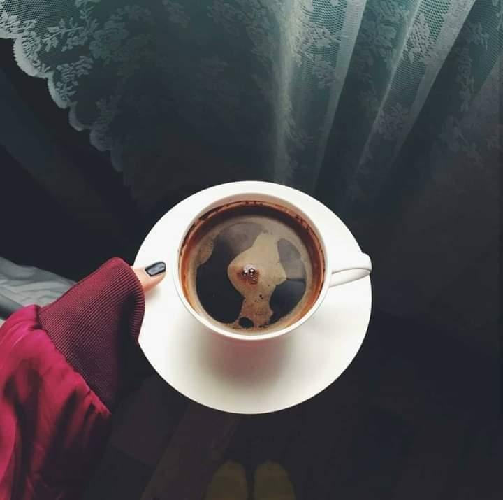 اسماك النيلين
