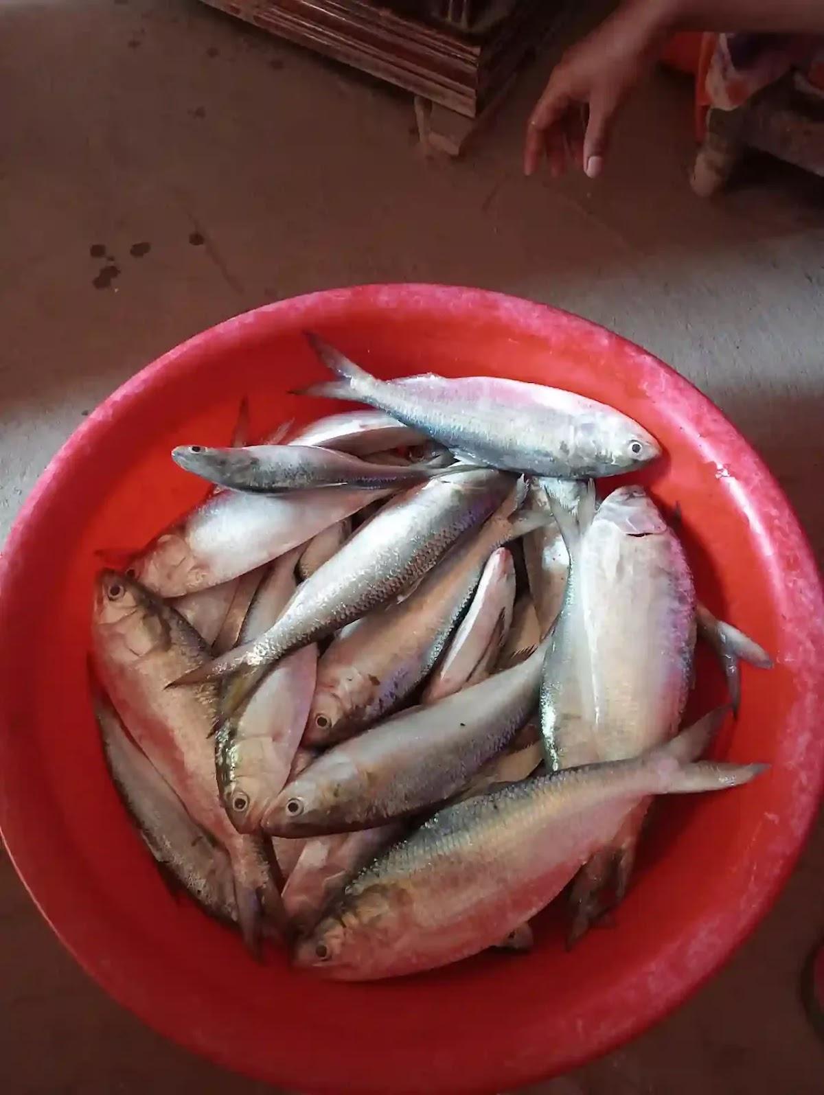 Asa moni store