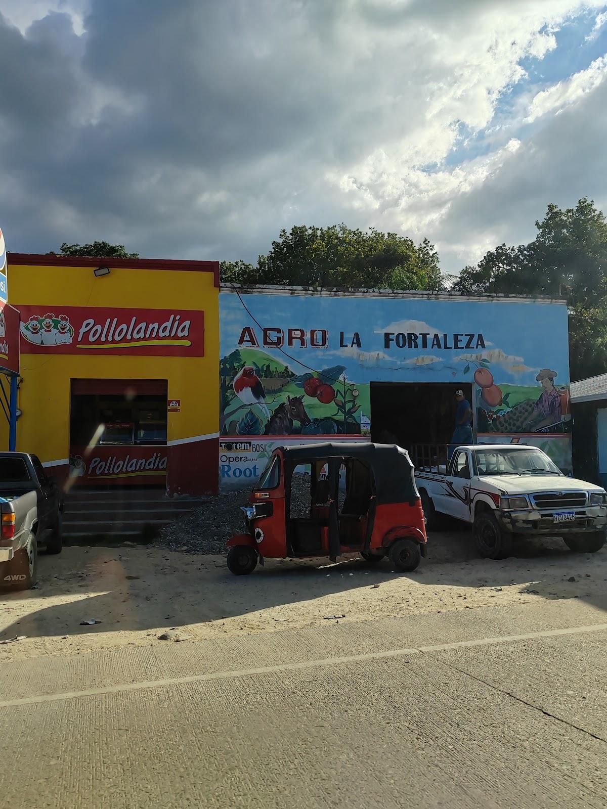 Pollolandia