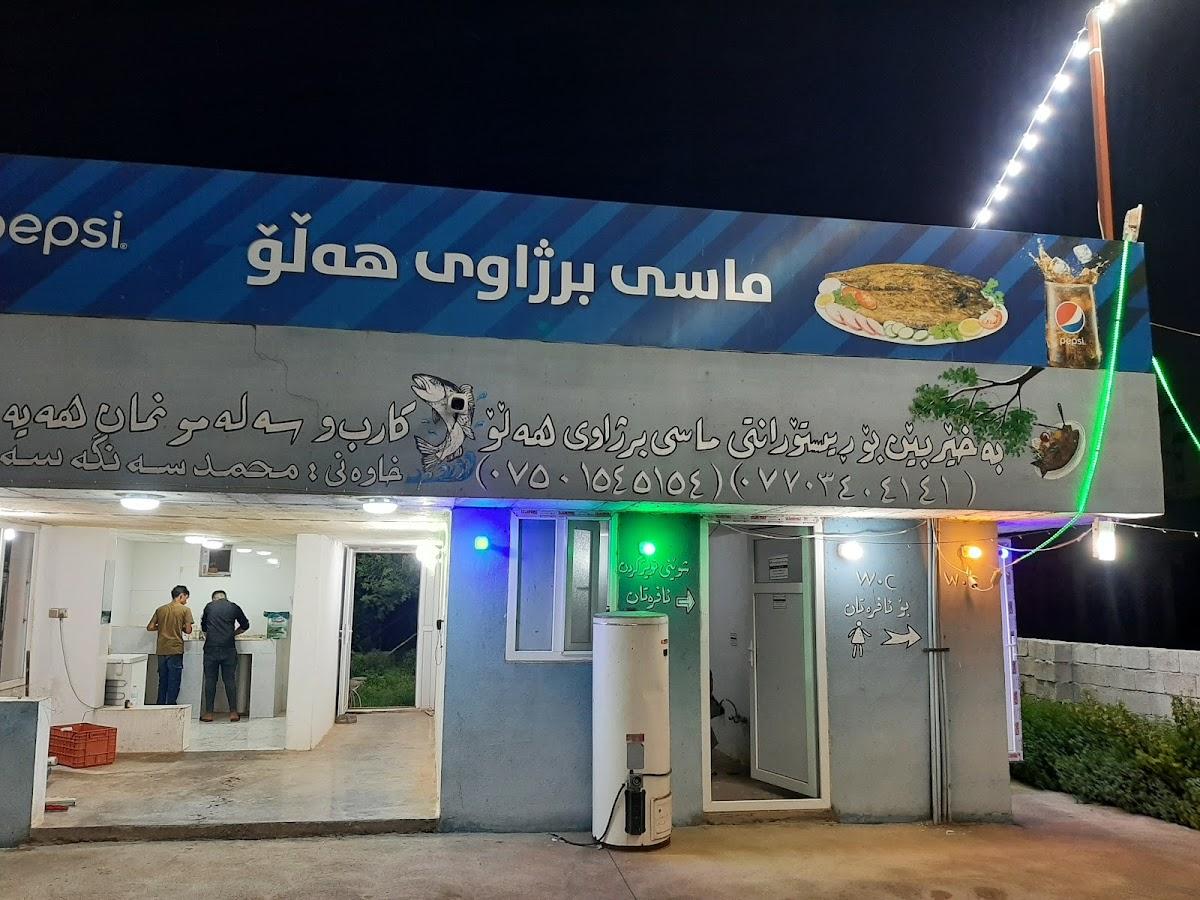 ماسی برژاوی هەڵۆ