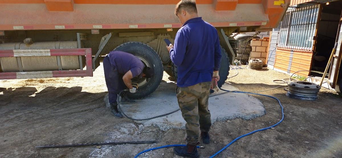 Зоогийн газар