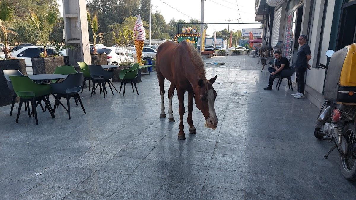Makda restaurant