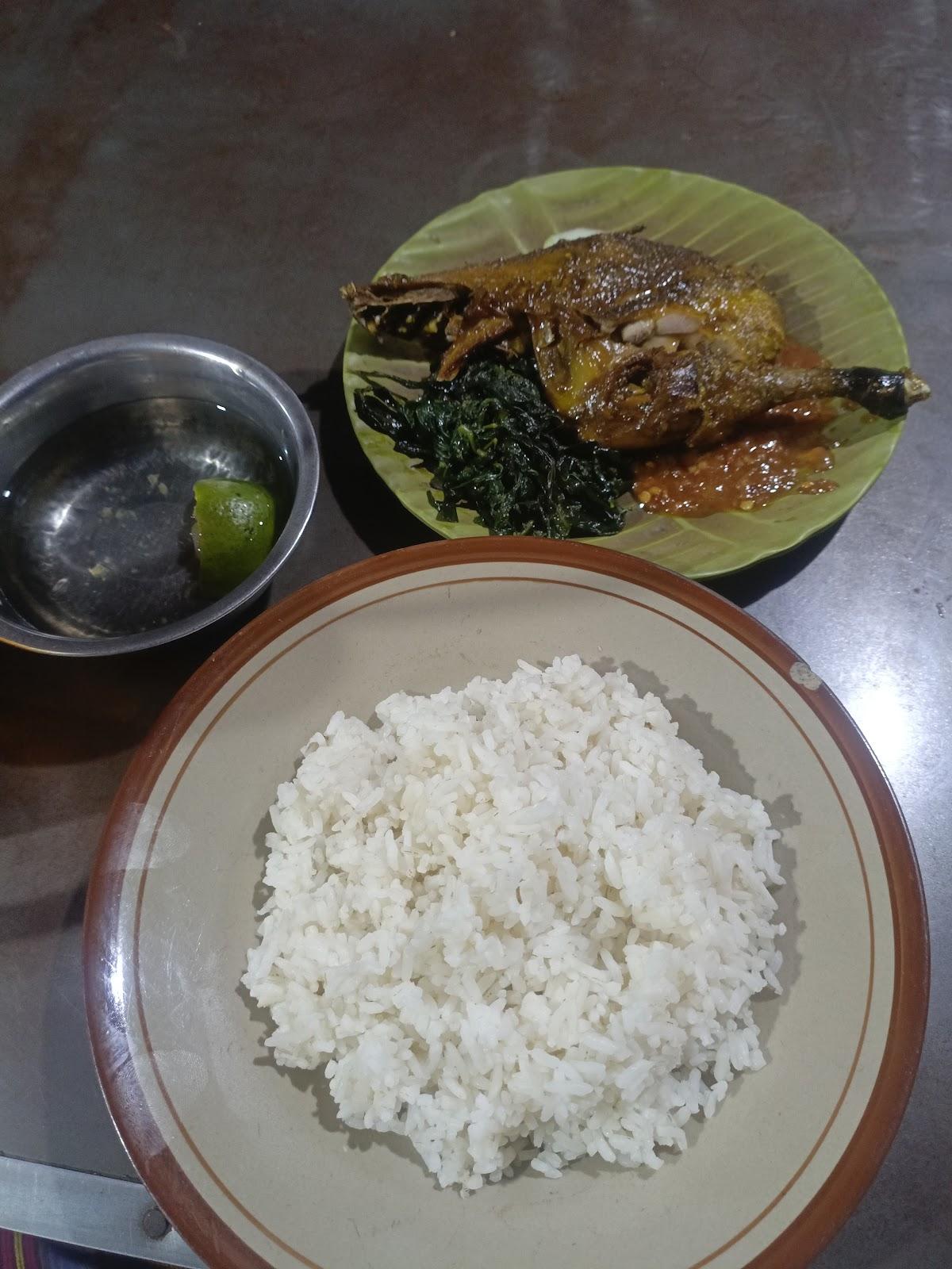 Lamongan Habsyi