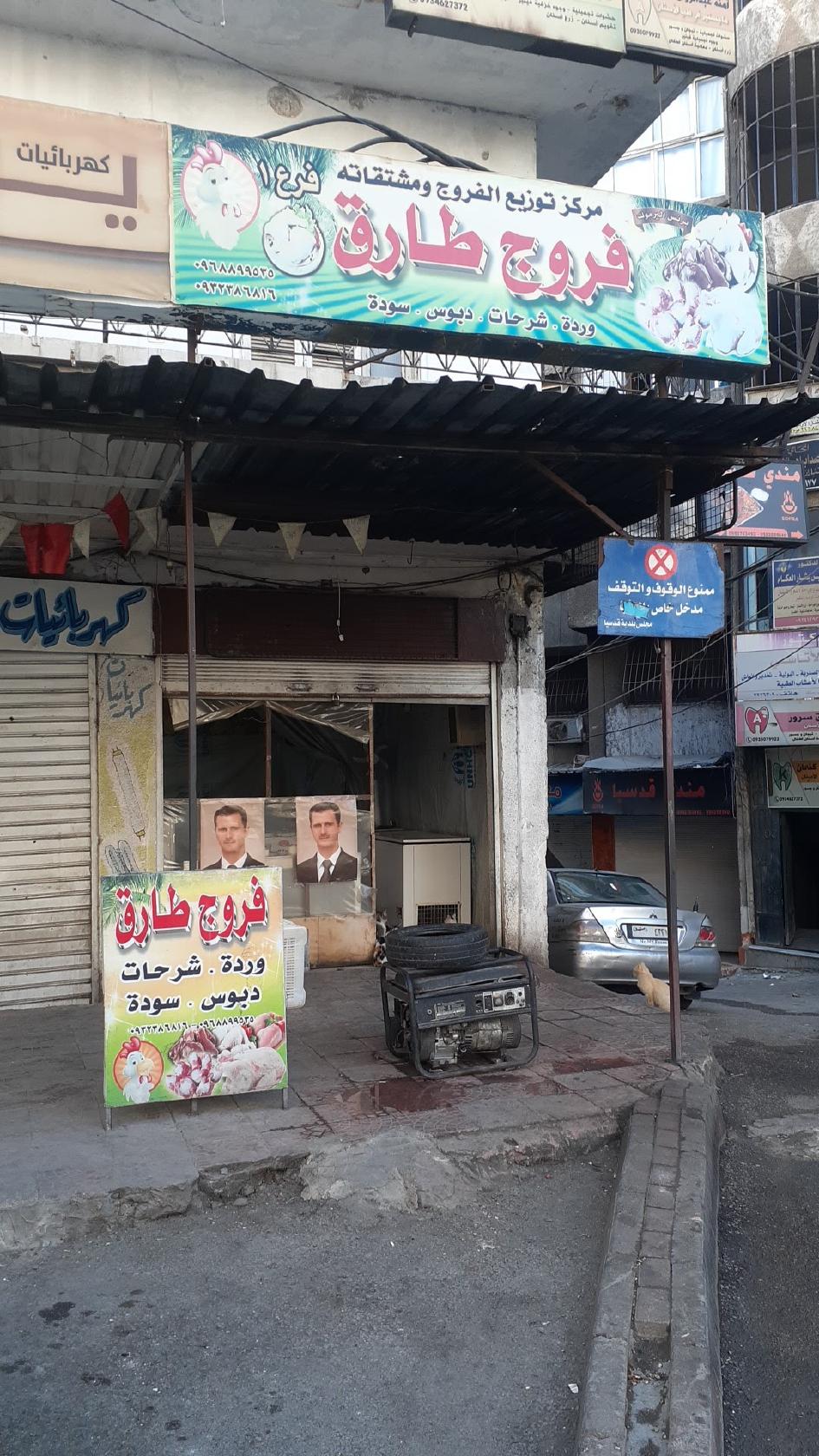 فروج طارق