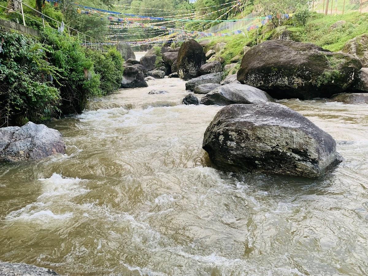 Bagdwar resort