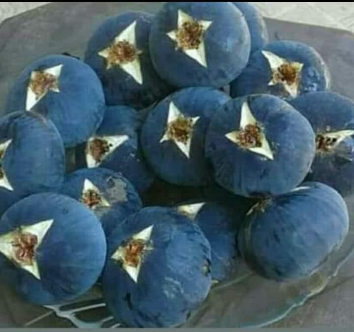 مطعم الضيعة