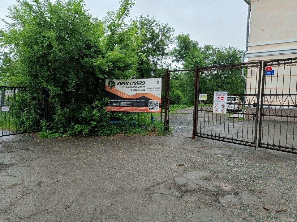 Kim's Tigers