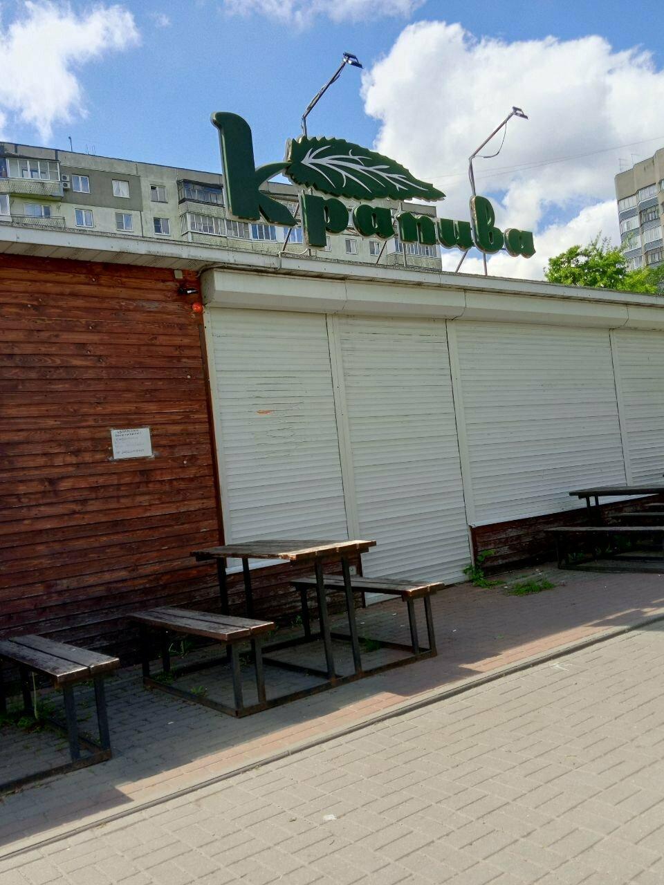 Крапива