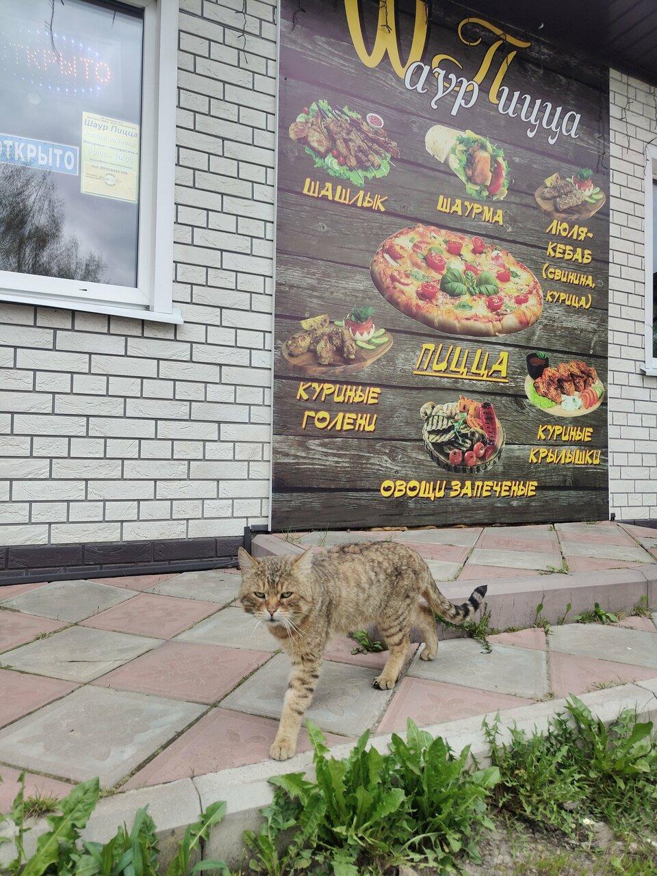 Шаурпицца