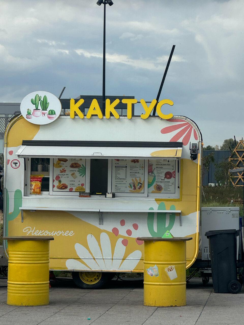 Кактус