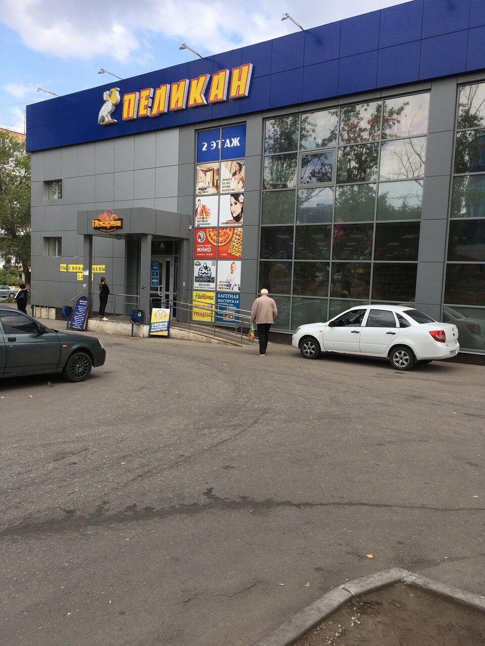 Белый пеликан