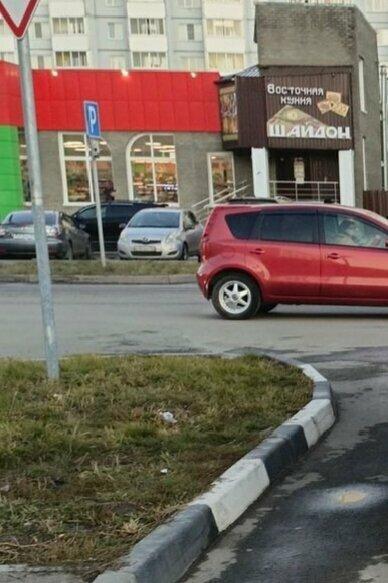 Шайдон