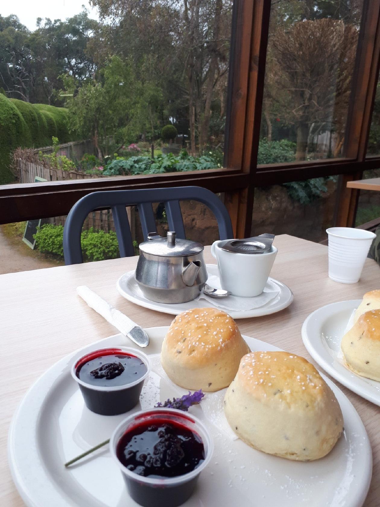 Red Hill Lavender Farm