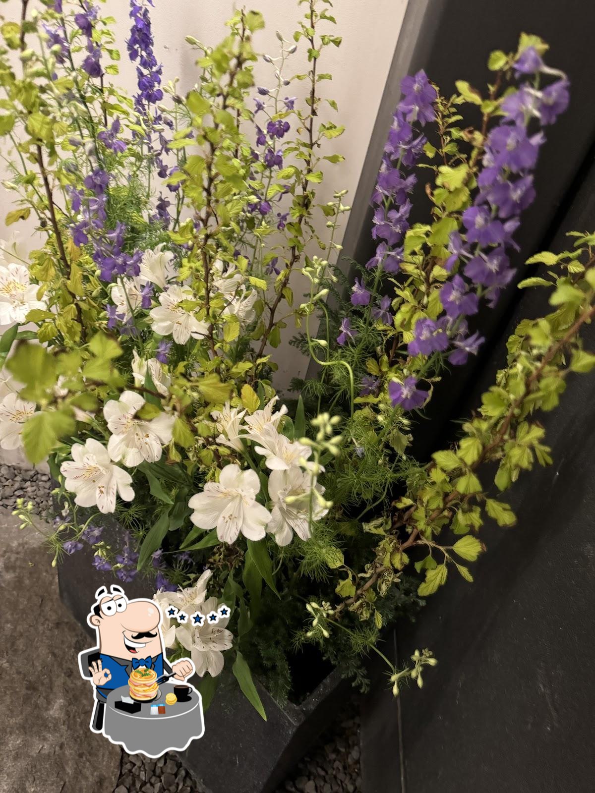 Photo from Google